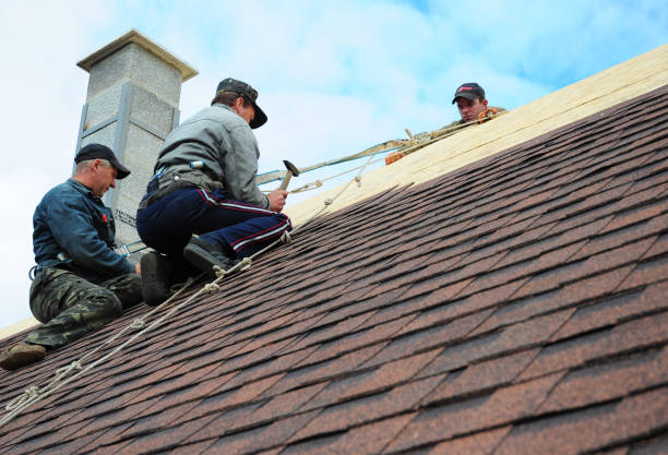 Best Roof Leak Repair  in Darien Downtown, CT